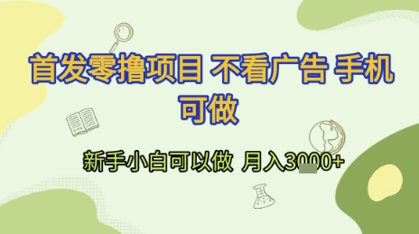 首发零撸项目 不看广告 手机可做 新手小白可以做  月入3k+【揭秘】-辰风资源站