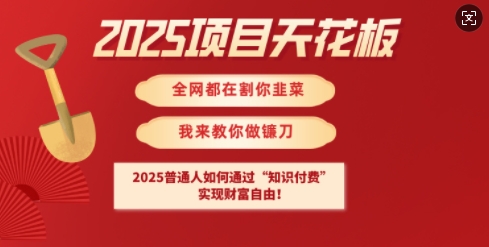 2025项目天花板普通人如何通过知识付费，实现财F自由【揭秘】-慕云辰风博客