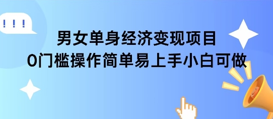 女单身经济项目变现周期长可复购率高日入1k+-辰风资源站