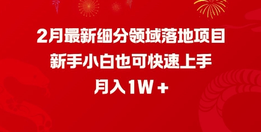 2月最新细分领域落地项目，新手小白也可快速上手，月入1W-慕云辰风博客