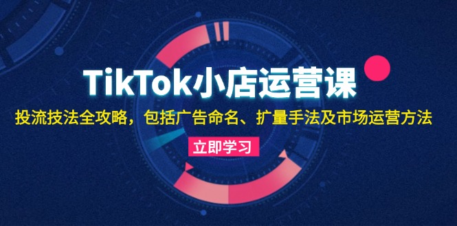 （13063期）TikTok小店运营课：投流技法全攻略，包括广告命名 扩量手法及市场运营方法-慕云辰风博客