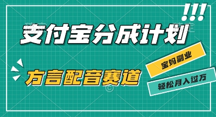 利用方言配音视频，挣支付宝生活号分成计划收益，操作简单，新手小白也能轻松月入过W-辰风资源站