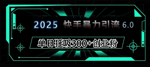 2025年快手6.0保姆级教程震撼来袭，单日狂吸300+精准创业粉-辰风资源站