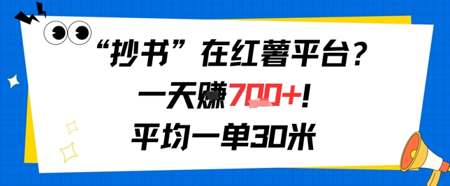 抄书在红薯平台？一天挣几张，平均一单30米，有手就行，新手小白不二之选！-辰风资源站