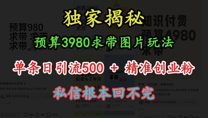 预算3980求带 图片玩法，单条日引流500+精准创业粉，私信根本回不完-慕云辰风博客