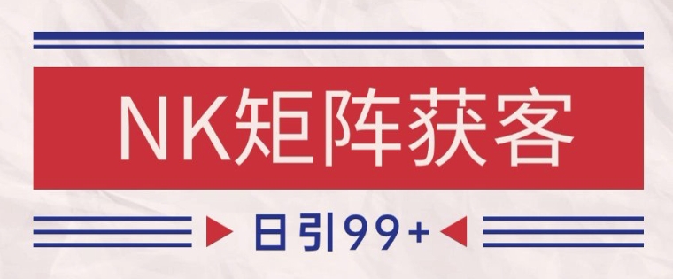 小红书某音NK赛道引流获客 自热矩阵日引200+【揭秘】-辰风资源站