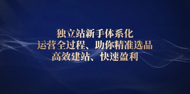 （13914期）独立站新手体系化 运营全过程，助你精准选品、高效建站、快速盈利-慕云辰风博客