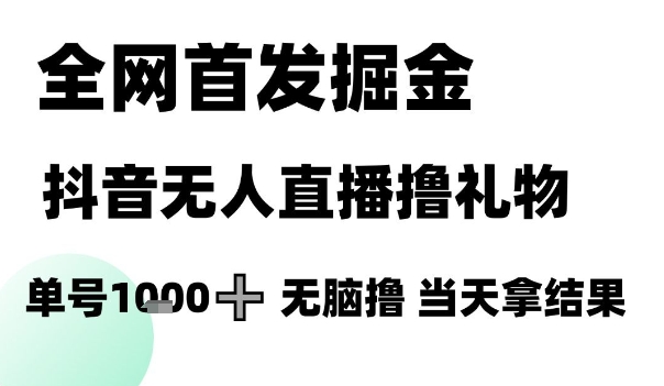 全网首发掘金抖音无人直播撸礼物，单号1k +无脑撸，当天拿结果【揭秘】-辰风资源站
