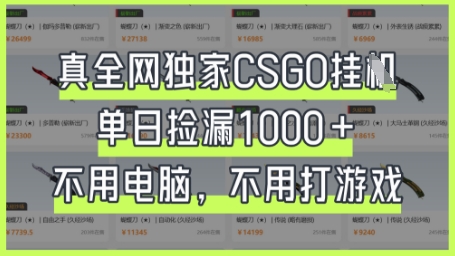 真全网独家CSGO挂G，单日捡漏1k+【揭秘】-辰风资源站