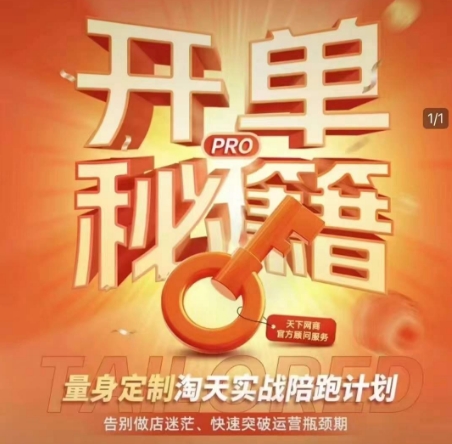 淘宝开单秘籍PRO，量身定制淘天实战陪跑计划，告别做店迷茫、快速突破运营瓶颈期-慕云辰风博客