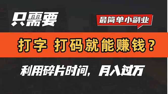 （14672期）只需要打字，打码，就能赚钱？简单的赚钱小副业，利用碎片时间，月入过万-辰风资源站