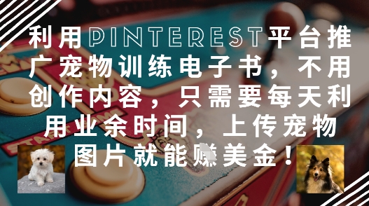 利用Pinterest平台推广宠物训练电子书，不用创作内容，只需要每天利用业余时间，上传宠物图片就能挣美金!-辰风资源站