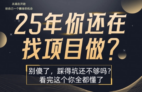 25年，你还在疯狂的找项目吗？别傻了，看完这个你都懂了【揭秘】-辰风资源站