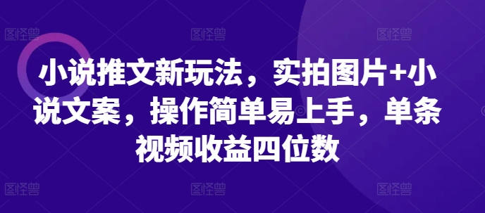 小说推文新玩法，实拍图片+小说文案，操作简单易上手，单条视频收益四位数-慕云辰风博客