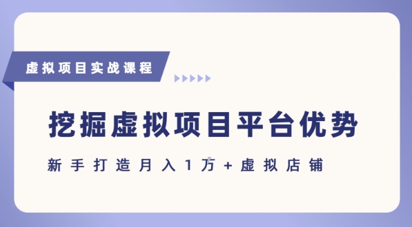 抓住虚拟项目各平台优势，新手轻松月入1W+(给出具体建议)-辰风资源站