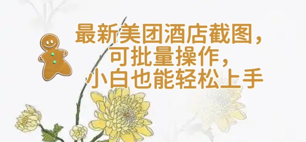 【轻云】最新美团酒店截图，可批量操作，小白也能轻松上手-辰风资源站