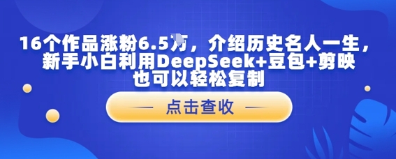 16个作品涨粉6.5W，介绍历史名人一生，新手小白利用DeepSeek+豆包+剪映也可以轻松复制-辰风资源站
