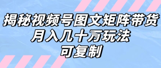 解密视频号图文矩阵带货，月入几个W的打法，可复制-辰风资源站