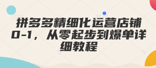 拼多多精细化运营店铺0-1，从零起步到爆单详细教程-慕云辰风博客