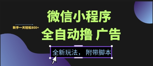 微信小程序全自动撸广告项目，彻底解决没流量的问题，新手一天8张+【揭秘】-辰风资源站