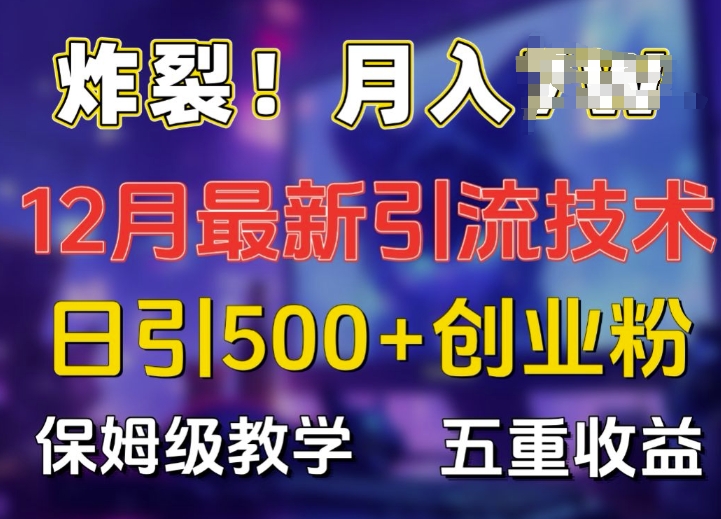 炸裂!揭秘12月最新日引流500+精准创业粉，多重收益保姆级教学-慕云辰风博客