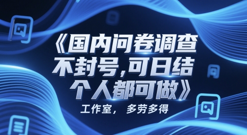 国内问卷调查，不封号，可日结，多劳多得，工作室，个人都可做-辰风资源站