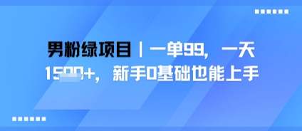男粉绿项目，一单99，新手0基础也能上手，刚需稳定-辰风资源站