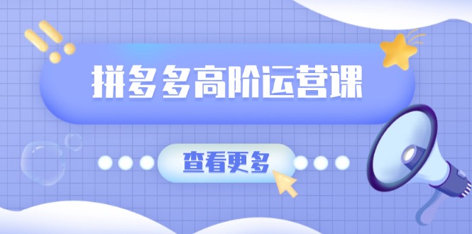 （14327期）拼多多高阶运营课：极致群爆款玩法，轻付费无尽复制，打造单品爆款之路-辰风资源站