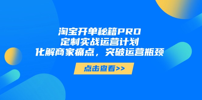 （14642期）淘宝开单秘籍PRO，定制实战运营计划，化解商家痛点，突破运营瓶颈-辰风资源站
