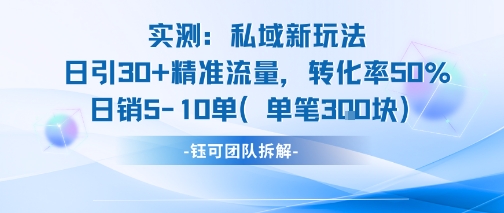 实测私域新玩法日引30加精准流量转化率50%日销5-10单每笔3张-辰风资源站