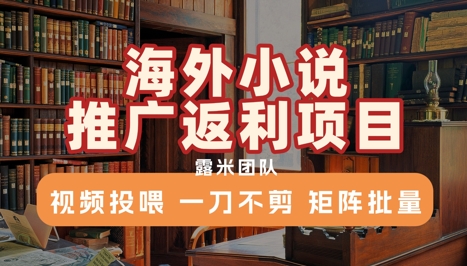 海外小说推广返利项目，视频投喂， 一刀不剪，矩阵批量-辰风资源站