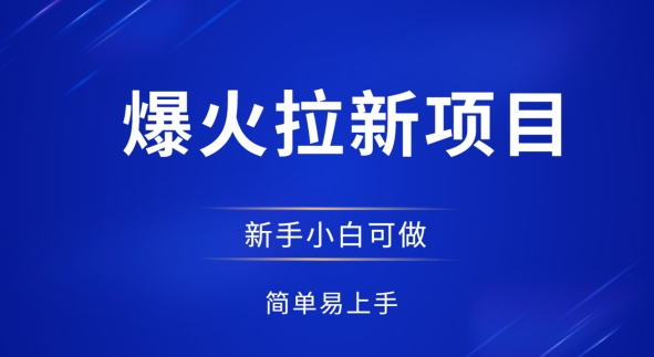 爆火拉新项目，有手就行，小白轻松入门，日入1张拉新整套流程-辰风资源站