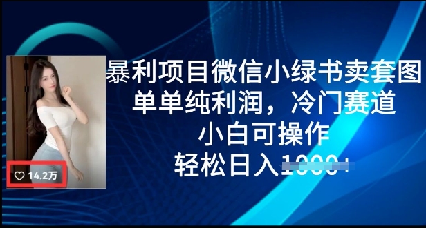 暴利项目微信小绿书卖套图，单单纯利润，冷门赛道， 小白可操作，轻松日入多张-慕云辰风博客