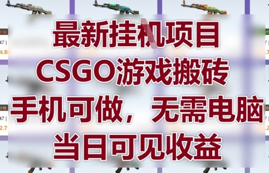 最新挂G项目，CSGO游戏搬砖，手机可做，无需电脑，当日见收益【揭秘】-辰风资源站