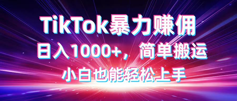 （14402期）TikTok搬运暴力赚佣，日入1000+，简单搬运，小白也能轻松上手-辰风资源站