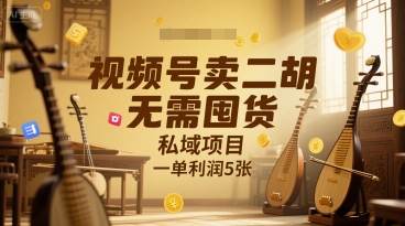 视频号卖二胡，无需囤货，私域项目，一单利润5张-辰风资源站