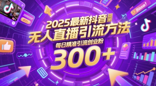 2025最新抖音无人直播引流方法，每日精准引流创业粉300+-辰风资源站