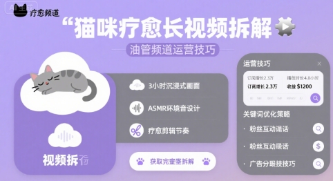 猫咪疗愈长视频拆解 &油管频道运营技巧-辰风资源站