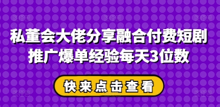 私董会大佬分享融合付费短剧推广爆单经验每天3位数-辰风资源站