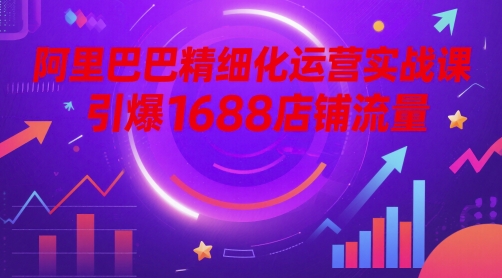 阿里巴巴精细化运营实战课，引爆1688店铺流量-辰风资源站