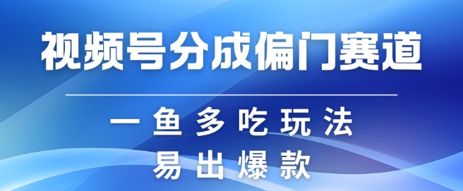 视频号创作者分成计划偏门类目，容易爆流，实拍内容简单易做【揭秘】-辰风资源站