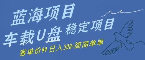 蓝海项目车载U盘稳定项目，挣的就是信息差，客单价99，日入几张简简单单-辰风资源站