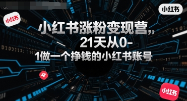 小红书涨粉变现营，21天从0-1做一个挣钱的小红书账号-辰风资源站