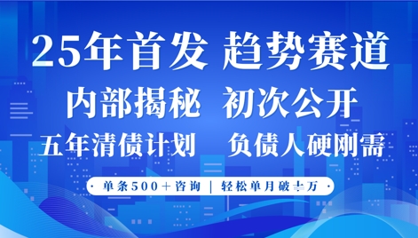 2025年首次公开，真正的事业型赛道，客咨不断，单月轻松破W-辰风资源站