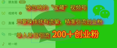 被忽略的“宝藏”视频号引流精准创业粉单人单日引流200+精准粉-辰风资源站