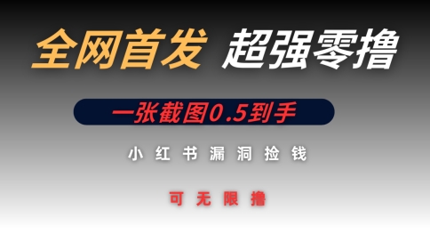 全网首发无限零撸捡钱项目，小红书一张截图0.5元可无限零撸-辰风资源站