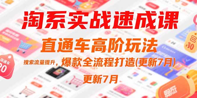 （15374期）淘系实战速成课，直通车高阶玩法，搜索流量提升，爆款全流程打造(更新7月)-辰风资源站
