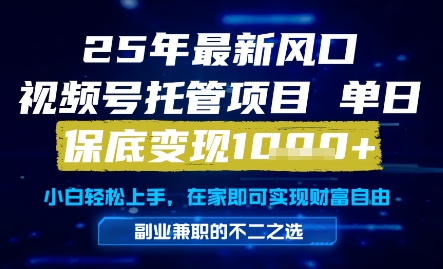 25年最新风口，视频号托管项目，单日保底变现1k+，手把手教学【揭秘】-辰风资源站