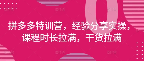 拼多多特训营，经验分享实操，课程时长拉满，干货拉满(更新25年4月)-辰风资源站