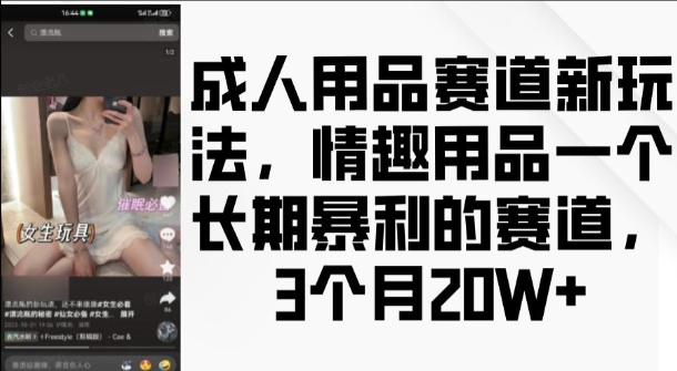 成人用品赛道新玩法，情趣用品一个长期暴利的赛道，3个月收益20个【揭秘】-慕云辰风博客